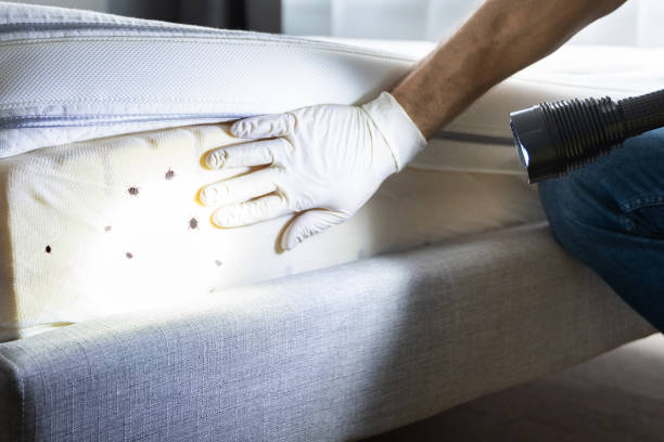 Best Best Pest Control Companies  in Hackettstown, NJ